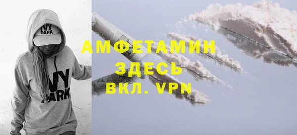 молекула духа Тихвин