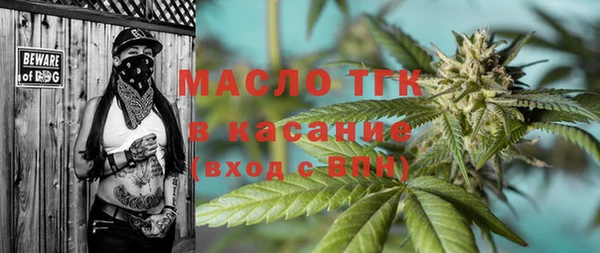 прущие грибы Горно-Алтайск